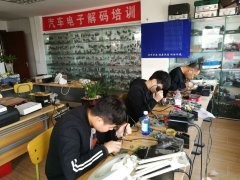 男人插入女人的逼视频